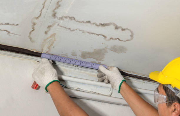 Reliable Basement Water Removal contractor in Rossville, IN by Water Damage Irwin
